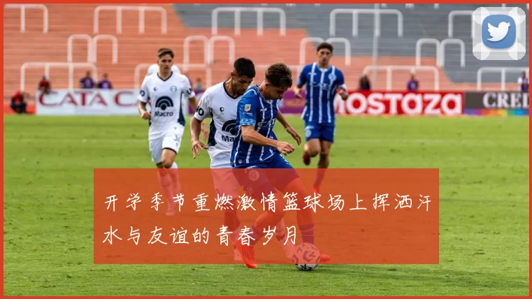开学季节重燃激情篮球场上挥洒汗水与友谊的青春岁月