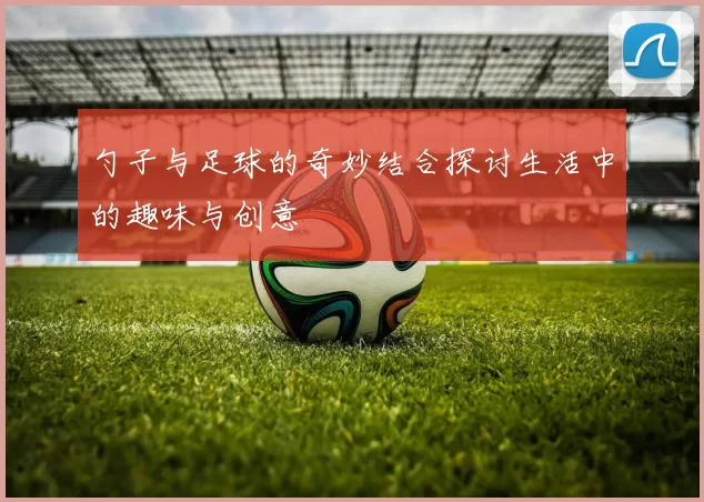 勺子与足球的奇妙结合探讨生活中的趣味与创意