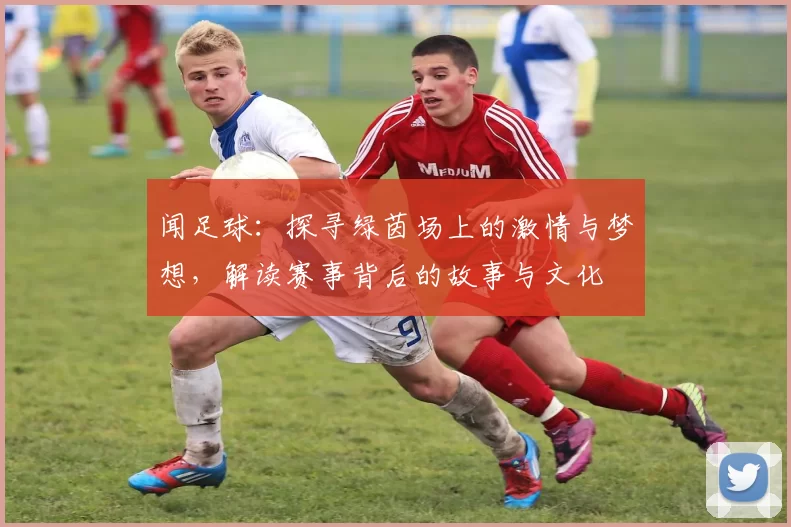 闻足球：探寻绿茵场上的激情与梦想，解读赛事背后的故事与文化