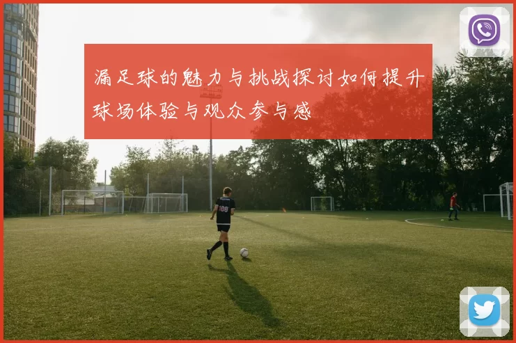 漏足球的魅力与挑战探讨如何提升球场体验与观众参与感